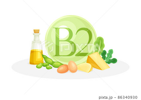 Sources of vitamin B2. Oil, bean, egg, cheese, leafy vegetables healthy nutrition food. Mineral vitamin supplement vector illustration 86340930