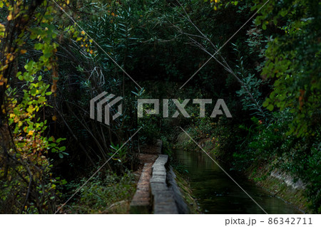 concrete artificial rill among vegetation in a mountainous area concrete artificial rill among vegetation in a mountainous area 86342711