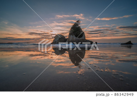 茨城県日立市　東滑川海浜緑地のグミ島の朝 86342949