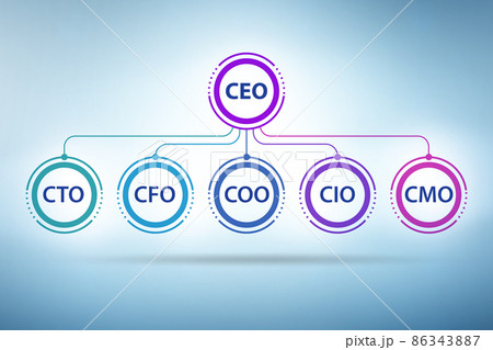 Illustration of organisation chart with various executives Illustration of organisation chart with various executives 86343887