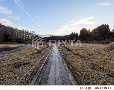 湿地帯の遊歩道 86344034