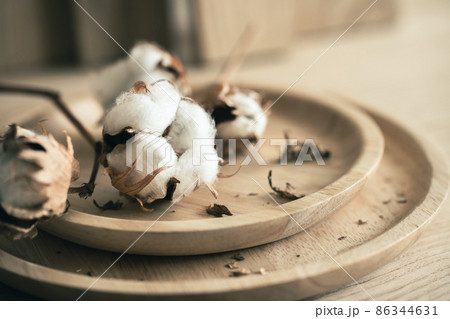 コットン　木綿のイメージ素材 86344631