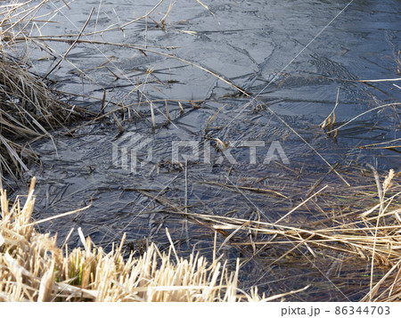 氷った池の風景 86344703