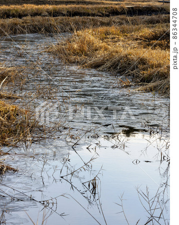 氷った池の風景 氷った池の風景 86344708