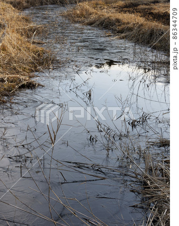 氷った池の風景 氷った池の風景 86344709