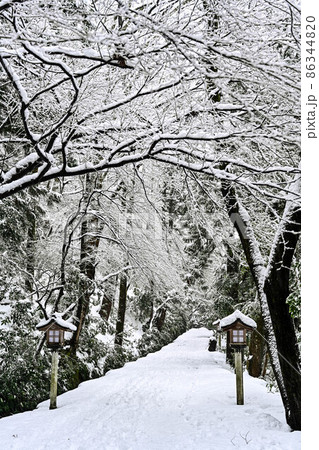 雪景色の白山比咩神社 86344820