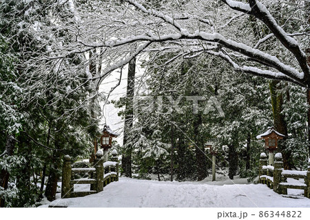 雪景色の白山比咩神社 86344822