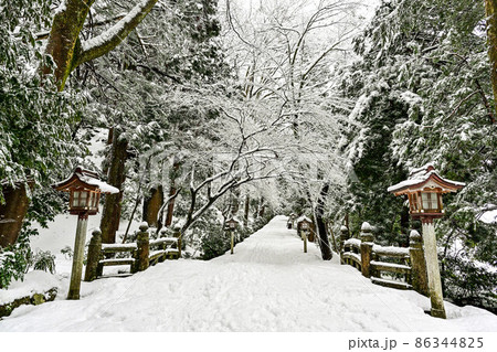雪景色の白山比咩神社 86344825