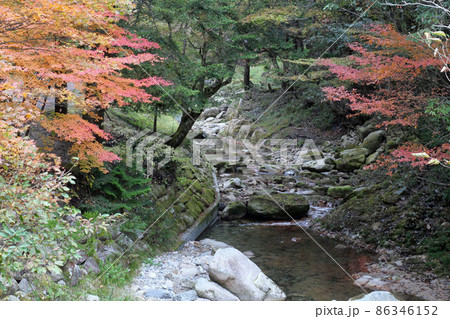 寂地峡の紅葉 86346152