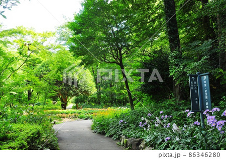 御殿場市 秩父宮記念公園の緑に覆われた散策路と道案内 御殿場市 秩父宮記念公園の緑に覆われた散策路と道案内 86346280