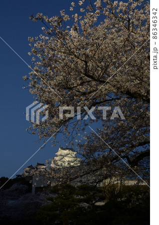 満開の桜に包まれる世界遺産・姫路城の夜景 86346342