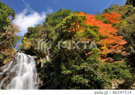 荒滝の紅葉(楊枝川)　【三重県熊野市紀和町】 86347514