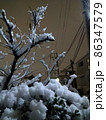 新横浜　雪の散歩道　街灯に光る 86347579