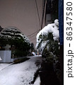 新横浜　散歩道の雪化粧 86347580