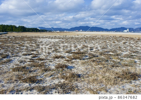鳥取県　白砂青松の弓ヶ浜から美保湾を望む 86347682