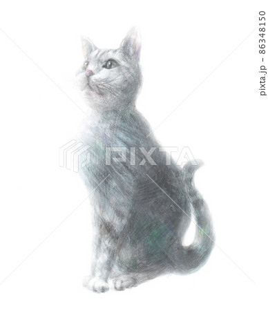 空を見上げる凛々しい猫　手描き 86348150