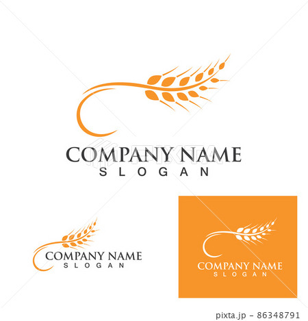 Agriculture wheat vector 86348791