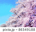 満開の桜 86349188