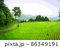 棚田の風景 86349191