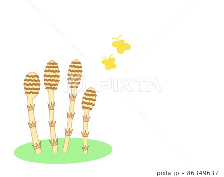 土筆と蝶々　春の野原 86349637