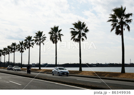 千葉フォルニア 86349936