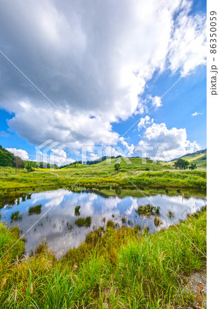 夏　高原　砥峰高原　ススキ　すすき　砥峰高原のすすき　旅 86350059