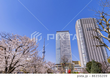 桜咲く錦糸公園・オリナス錦糸町と東京スカイツリー 桜咲く錦糸公園・オリナス錦糸町と東京スカイツリー 86350209