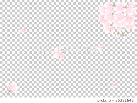 Cherry blossoms in the wind Cherry blossoms in the wind 86351648