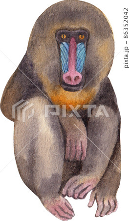 Cartoon monkeys.Furry apes with tails watercolor clipart png 86352042