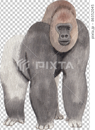 Cartoon monkeys.Furry apes with tails watercolor clipart png Cartoon monkeys.Furry apes with tails watercolor clipart png 86352045