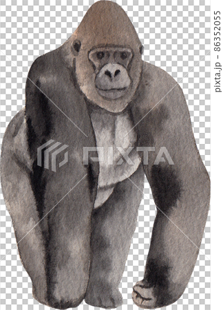 Cartoon monkeys.Furry apes with tails watercolor clipart png Cartoon monkeys.Furry apes with tails watercolor clipart png 86352055