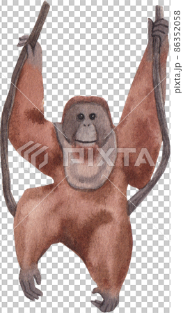 Cartoon monkeys.Furry apes with tails watercolor clipart png Cartoon monkeys.Furry apes with tails watercolor clipart png 86352058