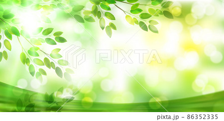 新緑 葉 風景 背景 新緑 葉 風景 背景 86352335