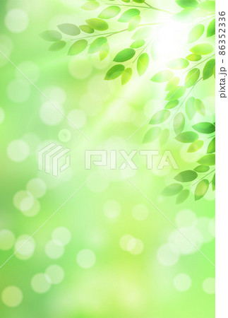 新緑　葉　風景　背景 86352336