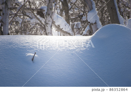 降り積もった雪と太陽光 86352864