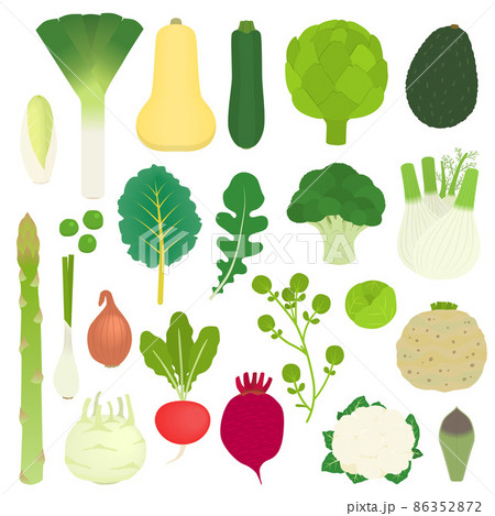 西洋野菜のイラスト 86352872