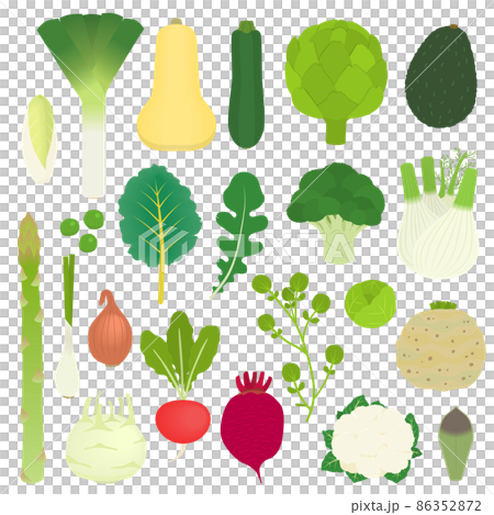 Illustration of western vegetables 86352872