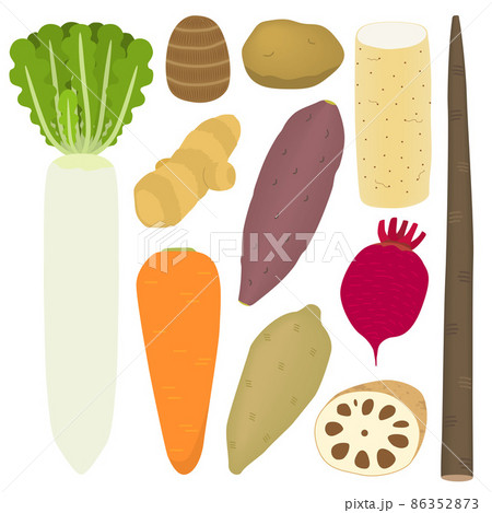 根菜のイラスト 86352873