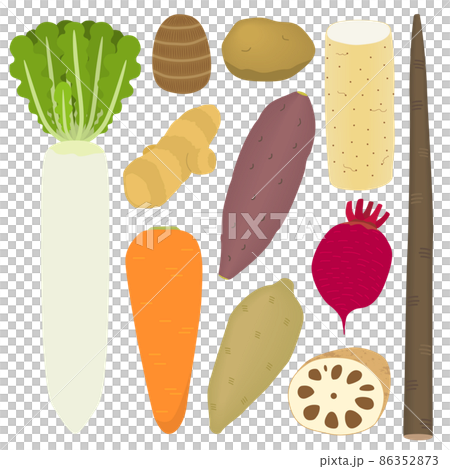 根菜のイラスト 86352873