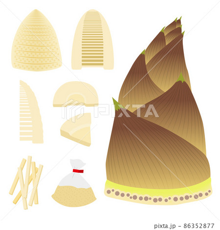 筍のイラストのイラスト素材