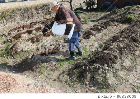 家庭菜園、寒の内の農作業、土作り 86353009