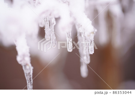 つらら氷が下がったもみじ　アップ 86353044