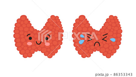 Healthy happy thyroid and upset unhealthy thyroid cartoon characters. Kawaii organs. Vector illustration isolated in cartoon style on white background Healthy happy thyroid and upset unhealthy thyroid cartoon characters. Kawaii organs. Vector illustration isolated in cartoon style on white background 86353343