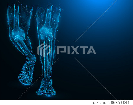 Polygonal vector illustration of human legs. Concept of the anatomical structure of the ankle and knee joints. Medical banner, template or background. 86353841