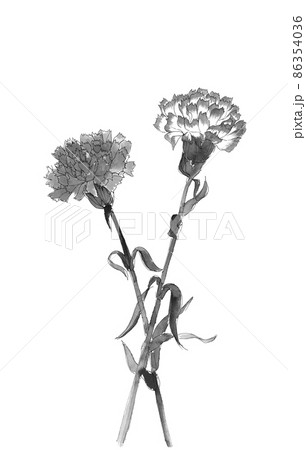赤いカーネーション 母の日 モノトーン【水墨画風水彩画】白