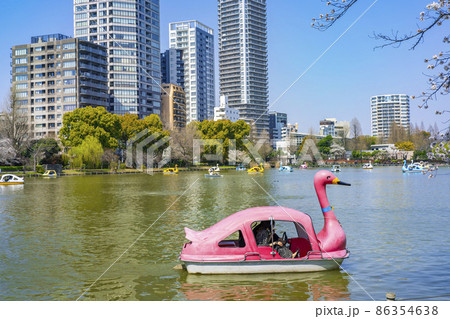 桜咲く上野恩賜公園・不忍池の風景・水面に浮かんだスワンボート（2021年3月） 86354638