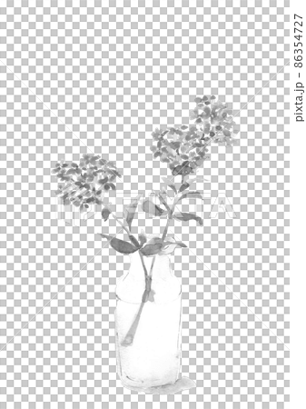 玻璃瓶中的甜香雪草單調【水墨風格水彩】白色背景透明背景 玻璃瓶中的甜香雪草單調【水墨風格水彩】白色背景透明背景 86354727