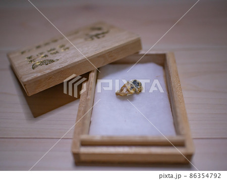 へその緒 86354792