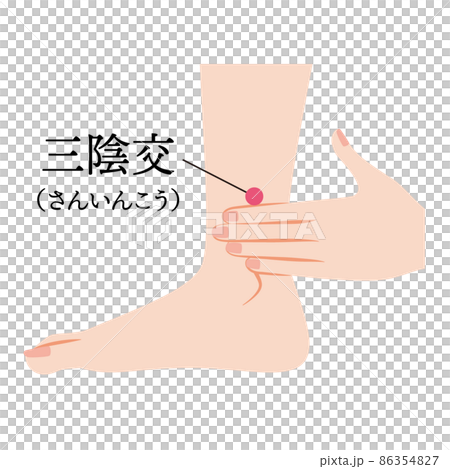 足のツボ 三陰交 足のツボ 三陰交 86354827