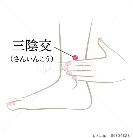 足のツボ　三陰交 86354828